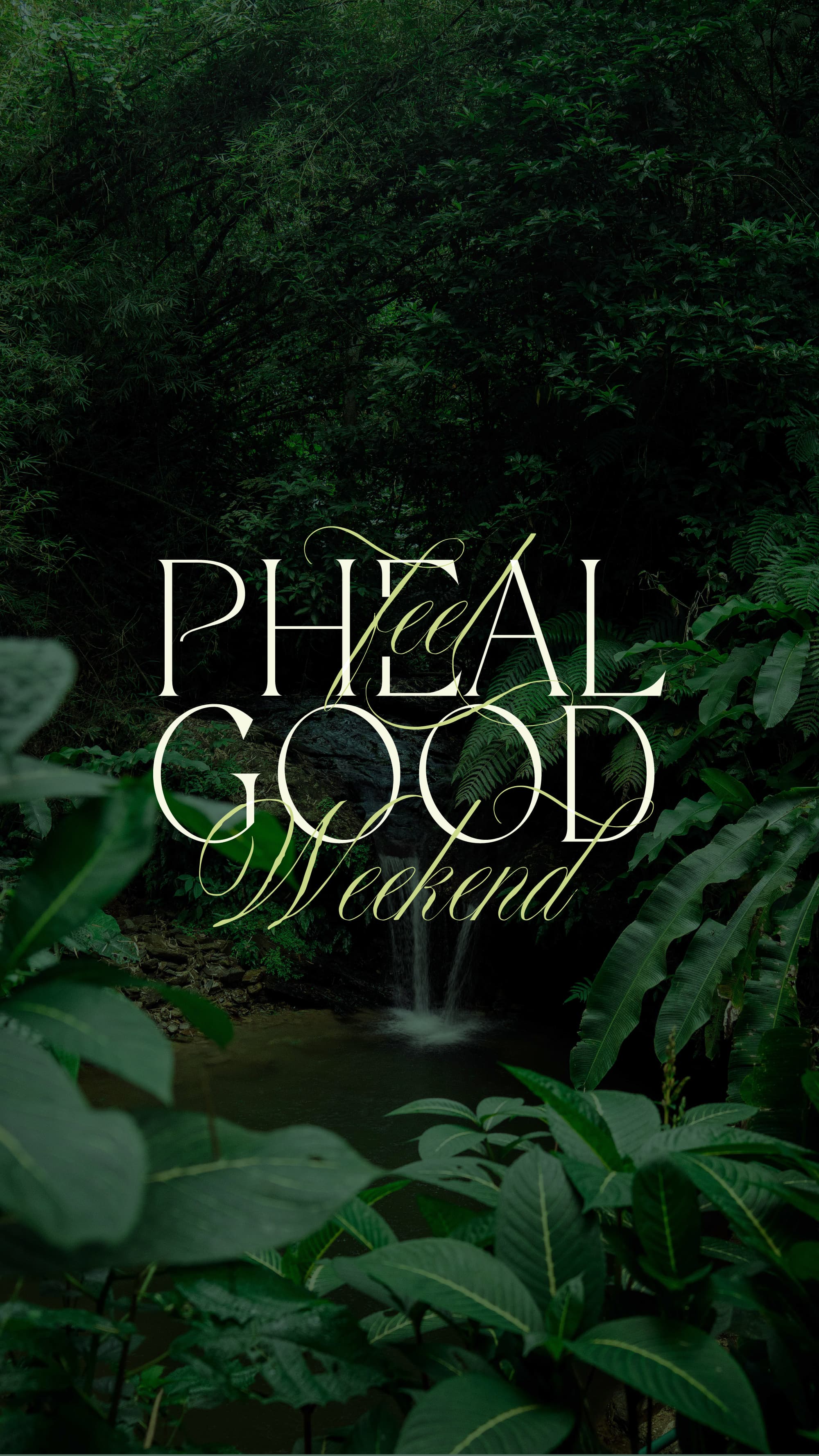 Pheal Good Collective  logo